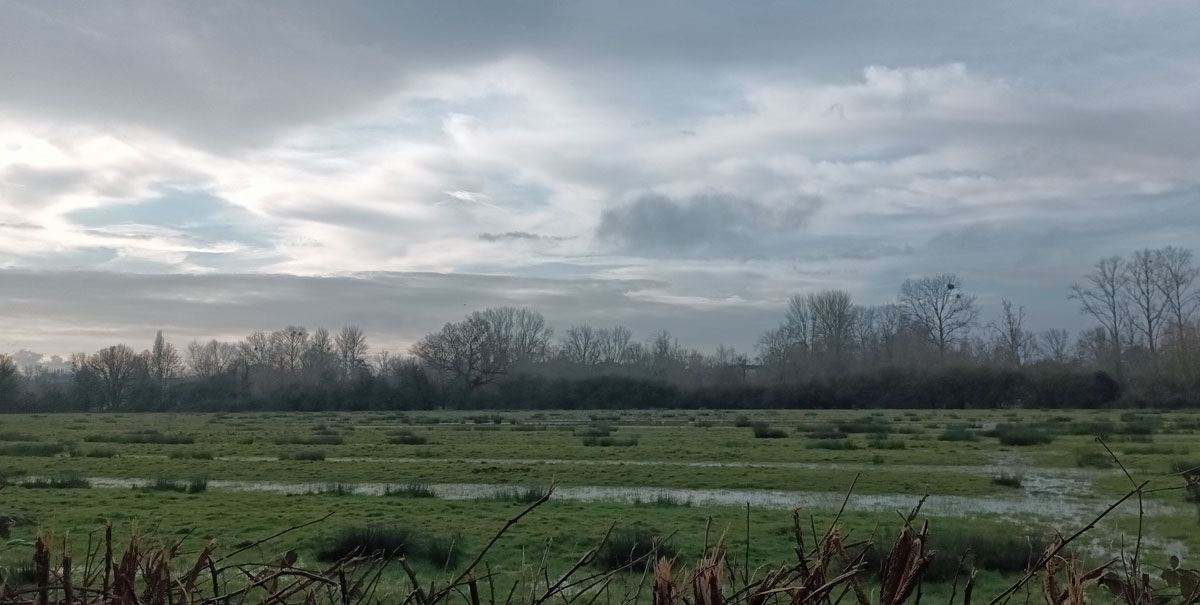 New Marston Meadows